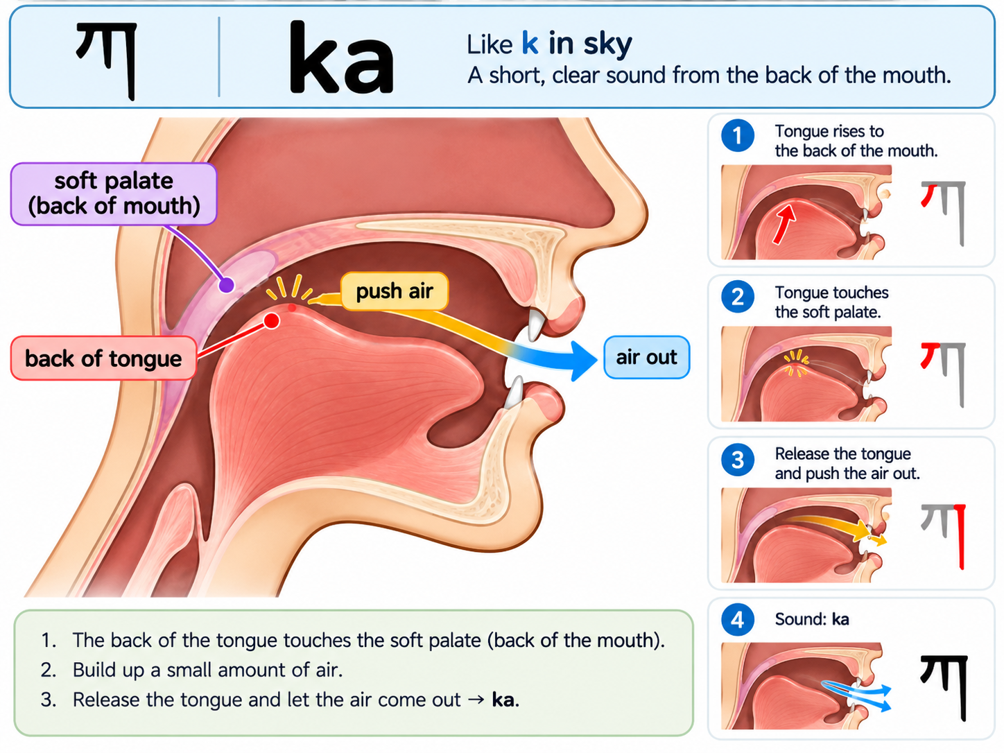 Where the sound is made in the mouth